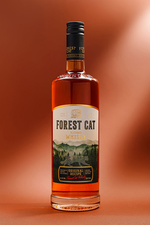 Forest-Cat_2.jpg